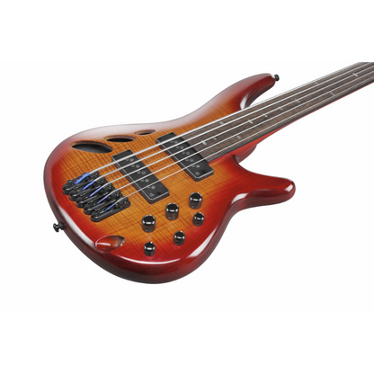 Ibanez SRD905F BTL Electric Bass with Panga Panga Fingerboard and Semi-Hollow Construction — view 5