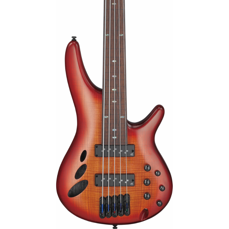 Ibanez SRD905F BTL Electric Bass with Panga Panga Fingerboard and Semi-Hollow Construction — view 4