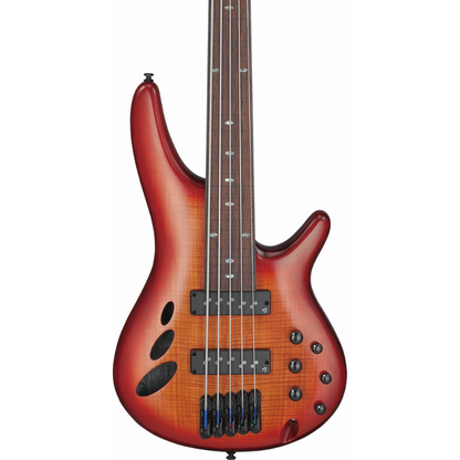 Ibanez SRD905F BTL Electric Bass with Panga Panga Fingerboard and Semi-Hollow Construction — view 4