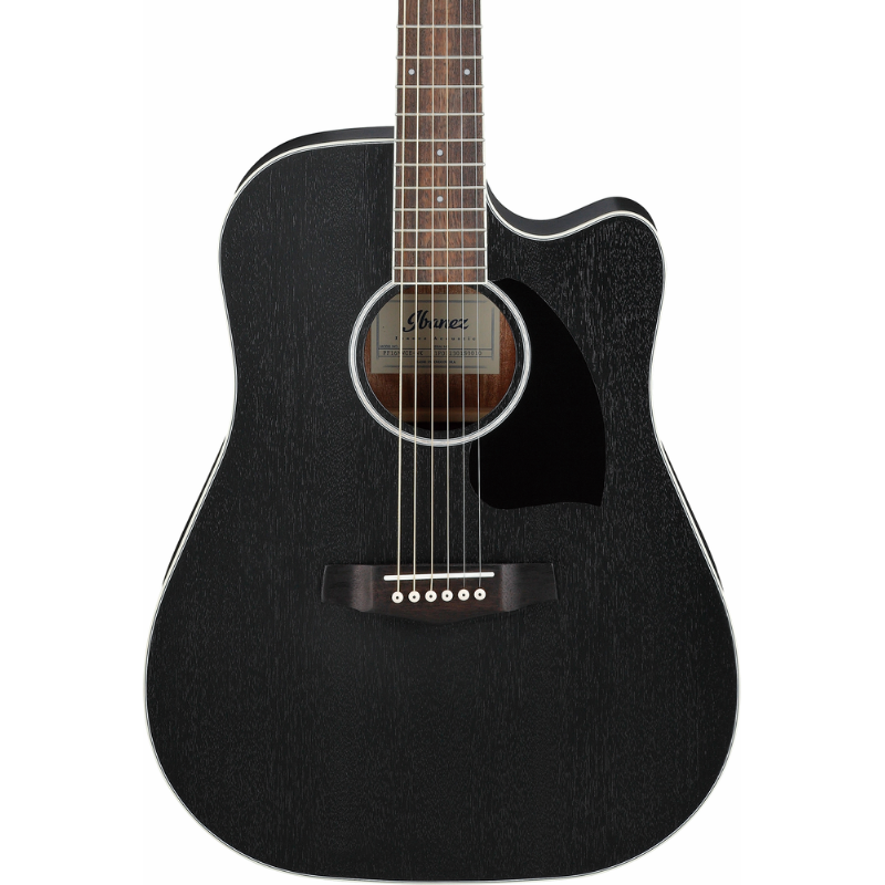 Ibanez PF16MWCE WK Acoustic Guitar — view 4