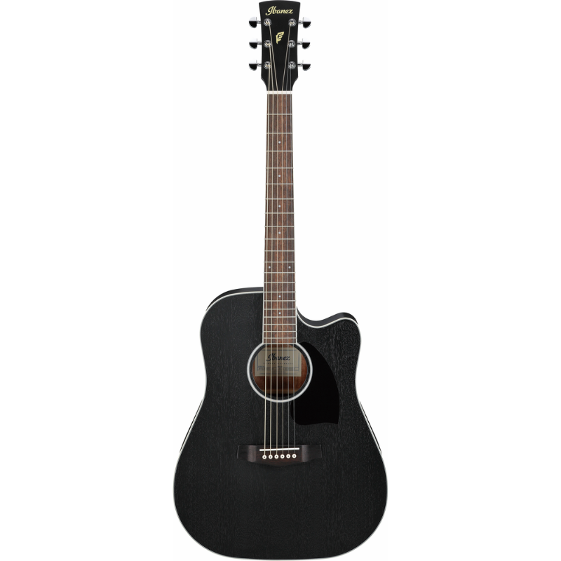 Ibanez PF16MWCE WK Acoustic Guitar