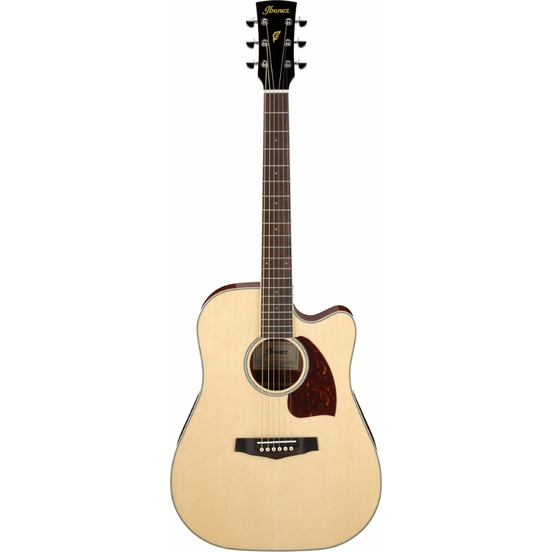 Ibanez PF16WCE NT Acoustic Guitar with Professional Features and Quality Sound