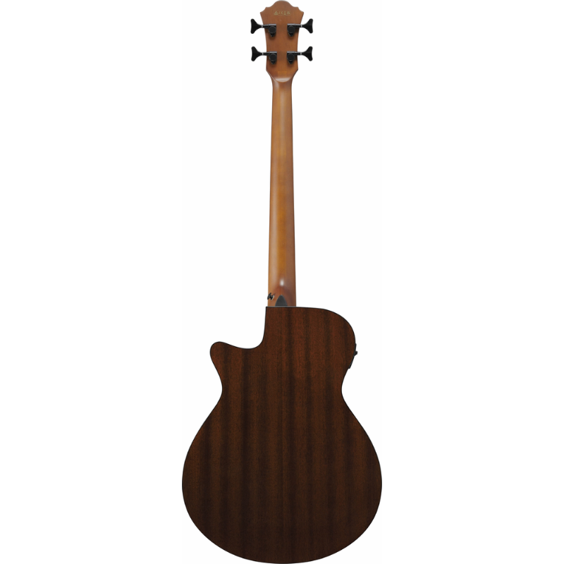 Ibanez AEGB24FE MHS Acoustic Bass — view 2