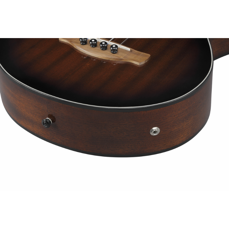 Ibanez AEGB24FE MHS Acoustic Bass — view 5