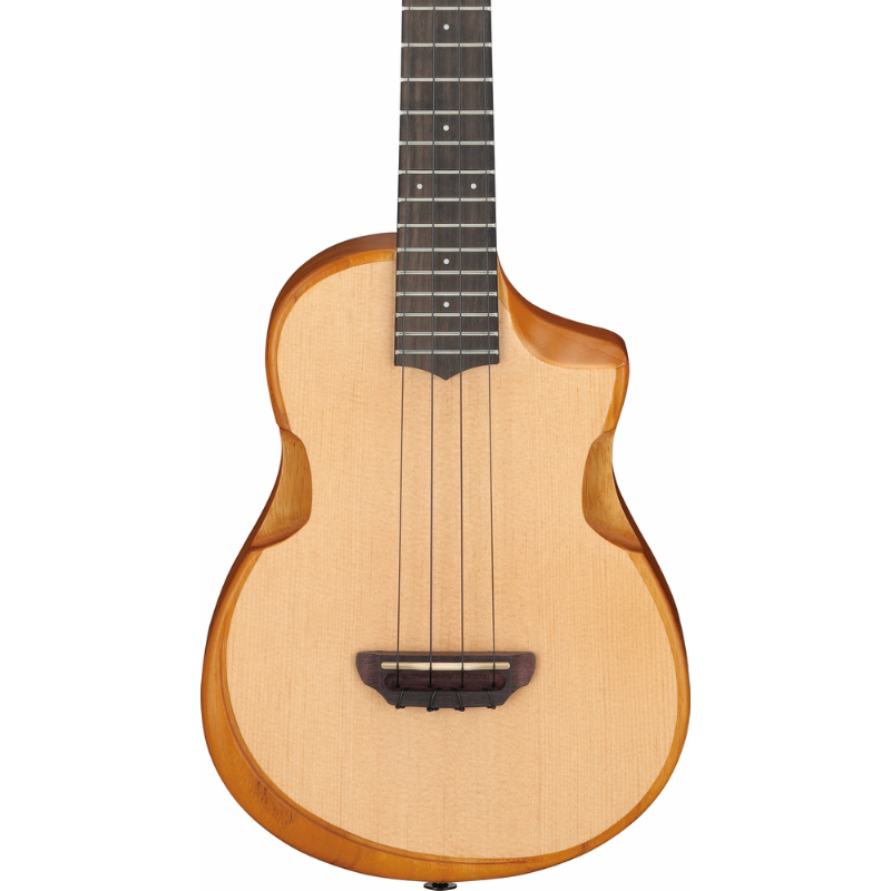 6043658AUSTRALIS