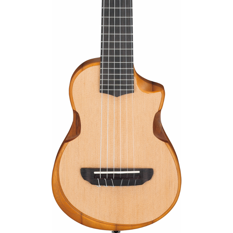Ibanez AUP10N OPN Ukulele with Unique Construction and Stereo Sound Port — view 4