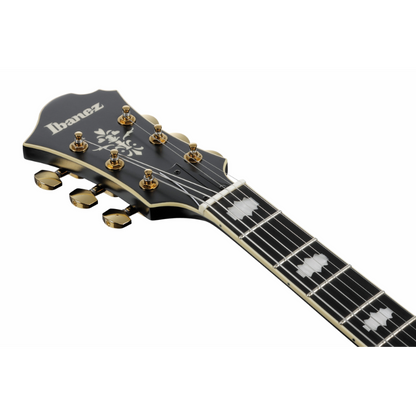 Ibanez PM3C BKL Pat Metheny Signature Jazz Guitar — view 5