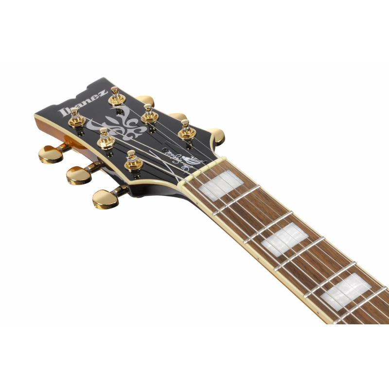 Ibanez JSM10EM TTB John Scofield Signature Guitar — view 5
