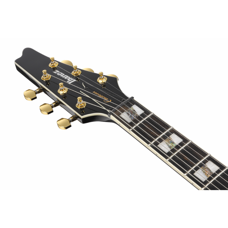 Ibanez FRM350 BK Paul Gilbert Signature Guitar — view 5