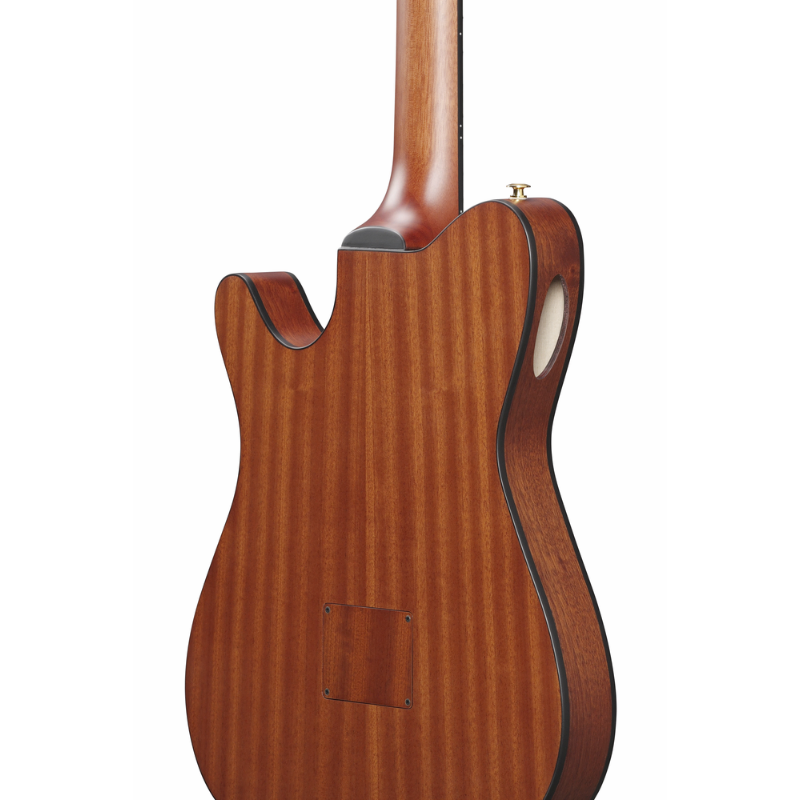 Ibanez FRH10N IBF Nylon String Guitar — view 5