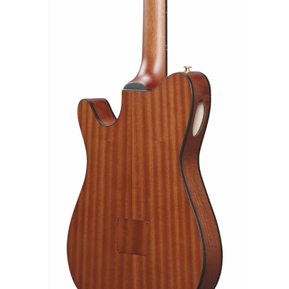 Ibanez FRH10N IBF Nylon String Guitar — view 5