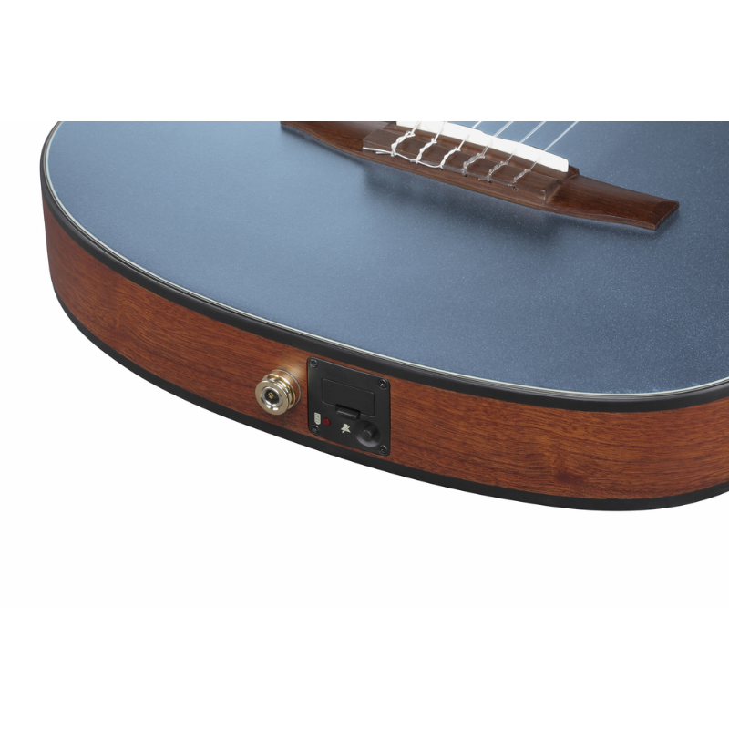 Ibanez FRH10N IBF Nylon String Guitar — view 4