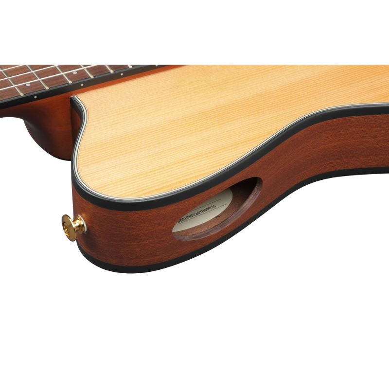Ibanez FRH10N NTF Nylon String Guitar — view 5