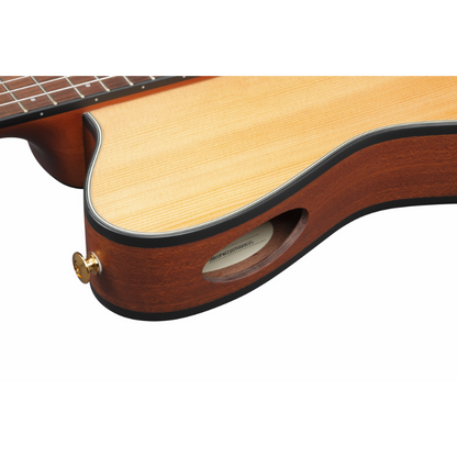 Ibanez FRH10N NTF Nylon String Guitar — view 5