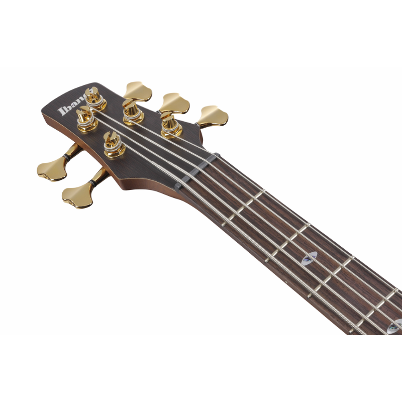 Ibanez SR6605 GFB Electric Bass 5 String — view 4