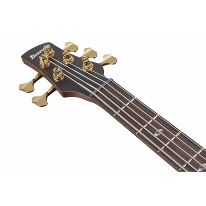 Ibanez SR6605 GFB Electric Bass 5 String — view 4