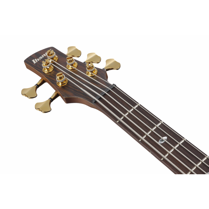 Ibanez SR5505 MHF Electric Bass 5 String — view 4
