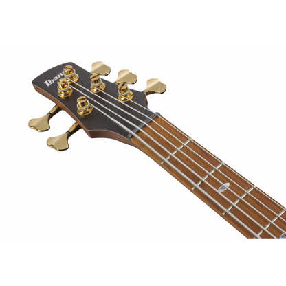 Ibanez SR4505 DST Electric Bass 5 String — view 4