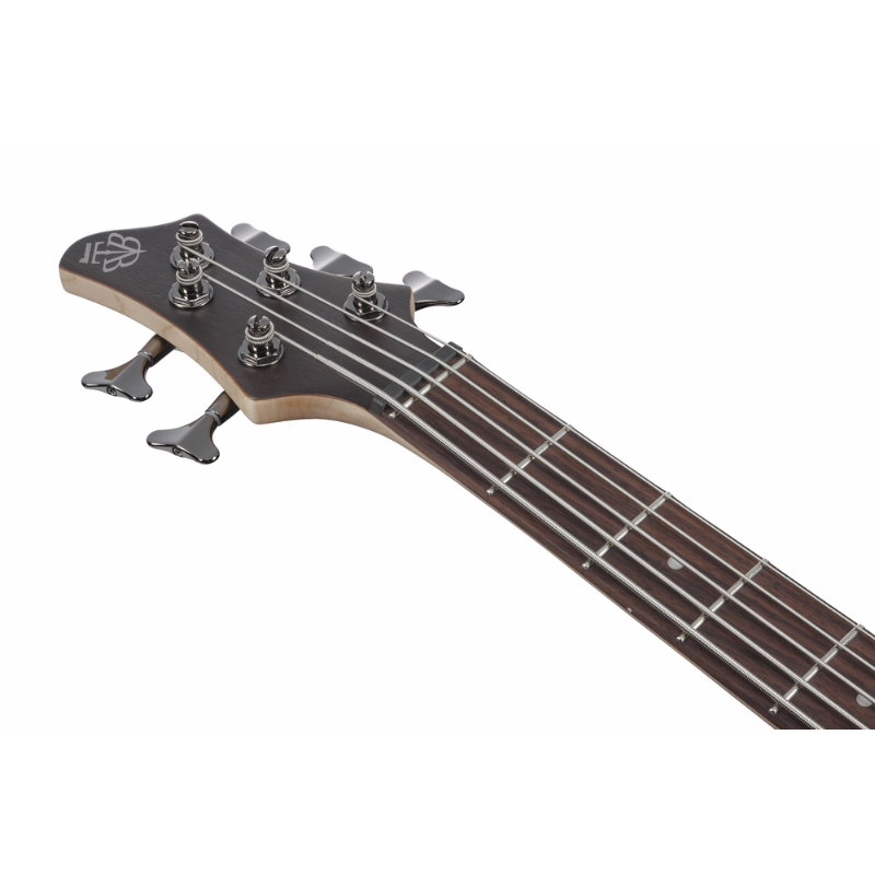 Ibanez BTB605 TGF Electric Bass 5 String — view 4