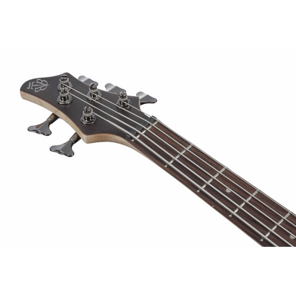 Ibanez BTB605 TGF Electric Bass 5 String — view 4