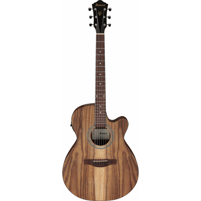 Ibanez VC40WSCE OPB Acoustic Guitar for Beginners