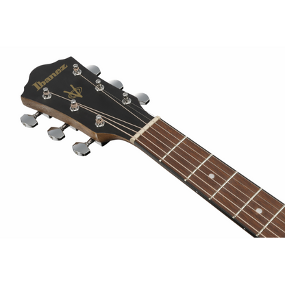 Ibanez VC40WSCE OPB Acoustic Guitar for Beginners — view 4