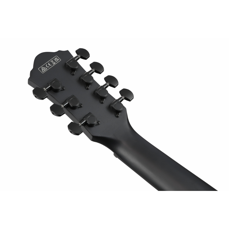 Ibanez AEG721 BOT Acoustic Guitar with Under-Saddle Pickups and Onboard Tuner — view 5