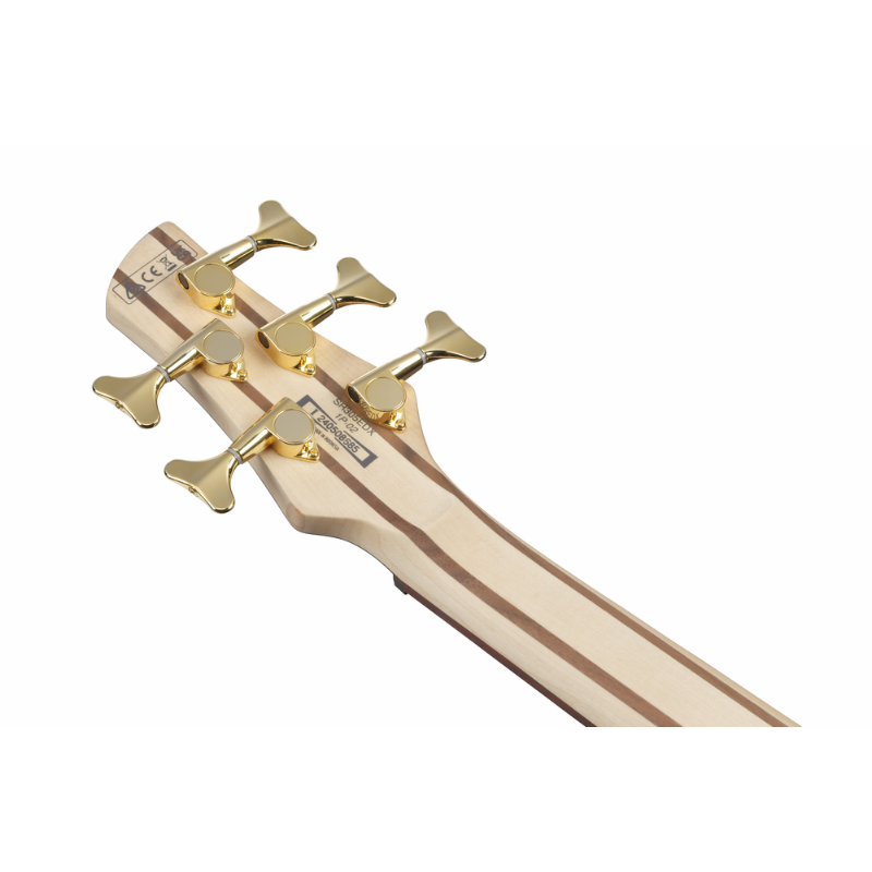Ibanez SR305EDXWZM Electric Bass Guitar — view 5