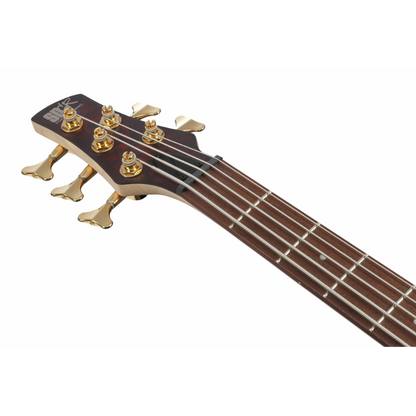 Ibanez SR305EDXWZM Electric Bass Guitar — view 4