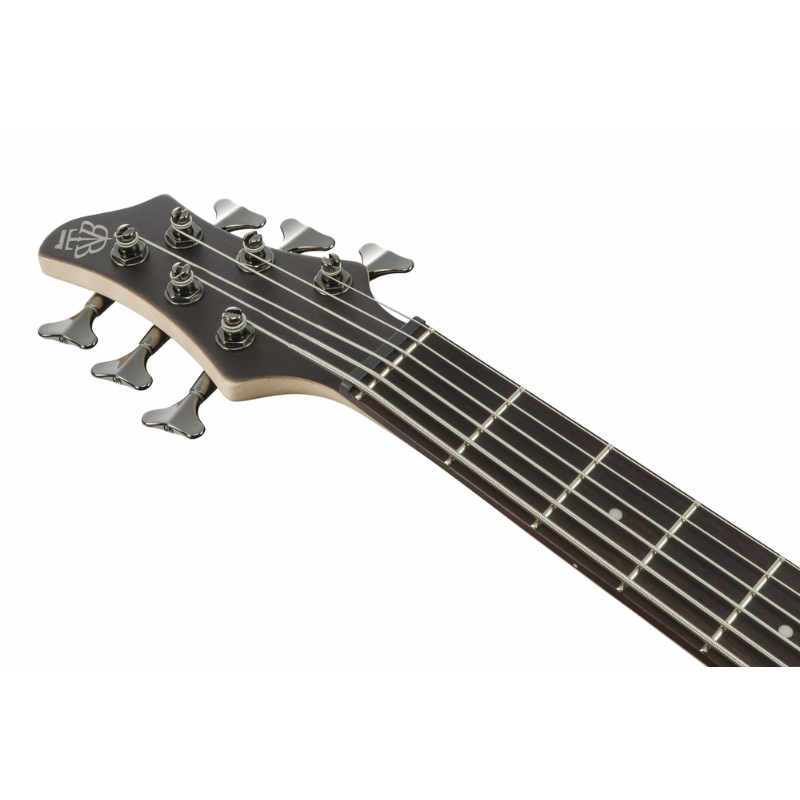 Ibanez BTB606TGF Electric Bass Guitar — view 4