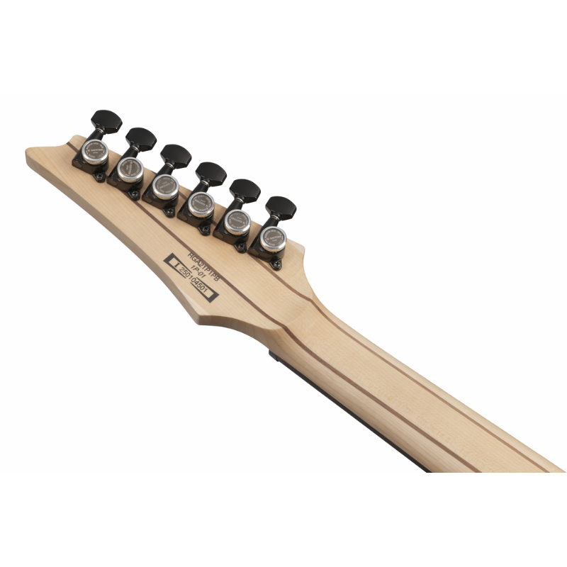 Ibanez RGA21P1PB Electric Guitar with Bag — view 5