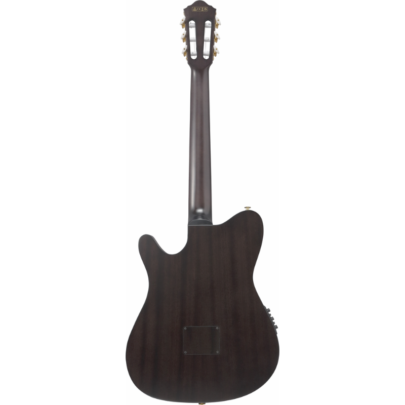 Ibanez FRH20QMN CTL Nylon String Guitar — view 2