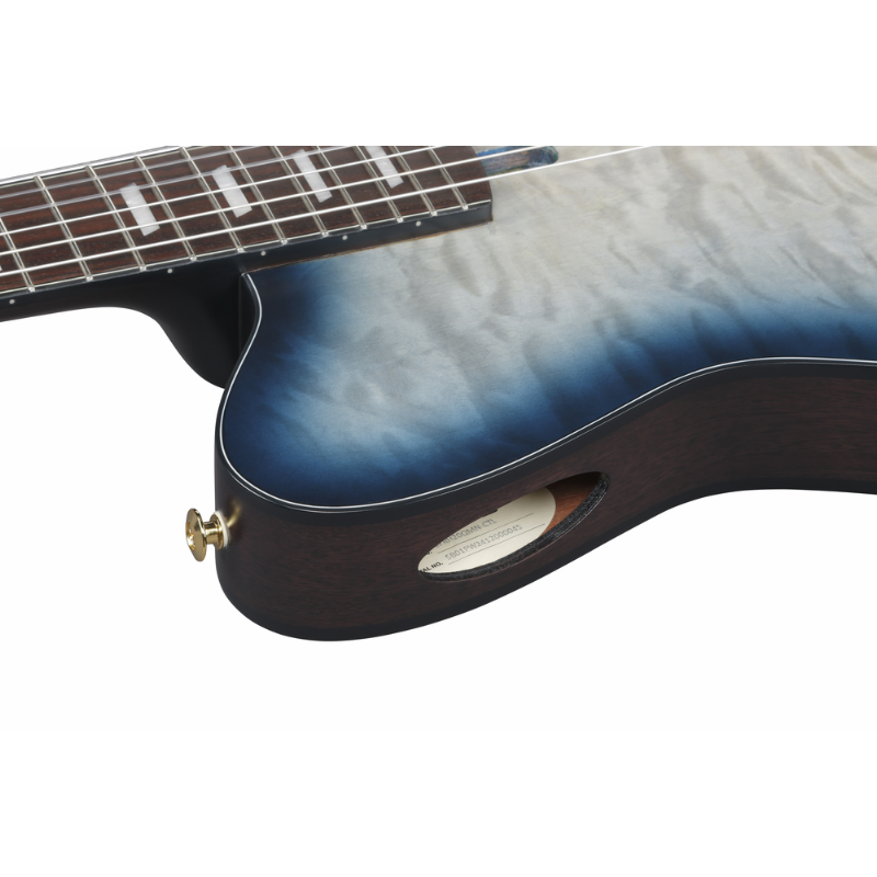 Ibanez FRH20QMN CTL Nylon String Guitar — view 3