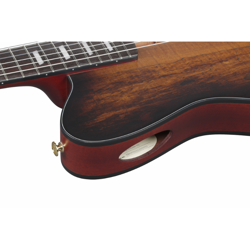 Ibanez FRH20SMN TCL Nylon String Electric Guitar — view 3