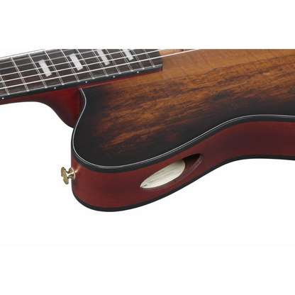 Ibanez FRH20SMN TCL Nylon String Electric Guitar — view 3