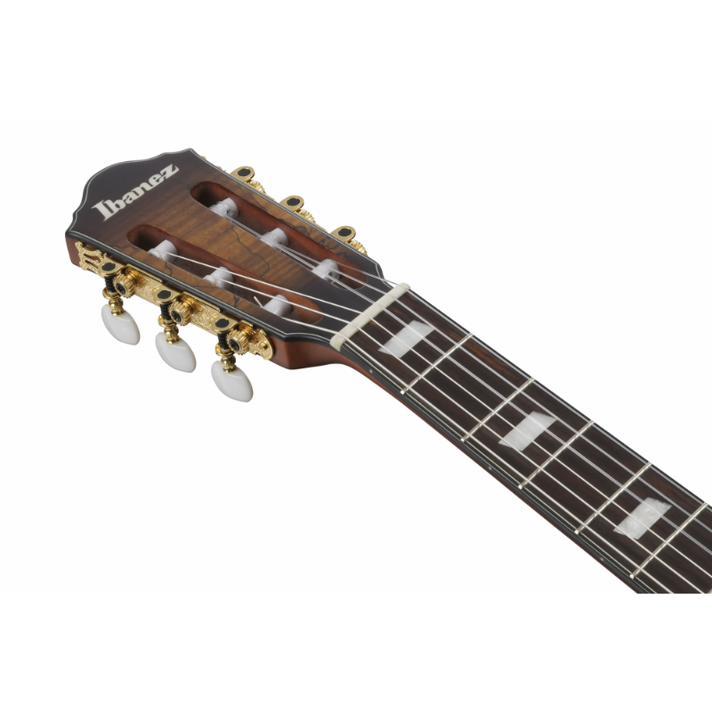 Ibanez FRH20SMN TCL Nylon String Electric Guitar — view 4