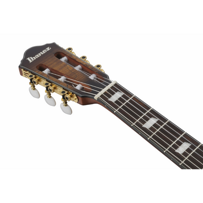Ibanez FRH20SMN TCL Nylon String Electric Guitar — view 4