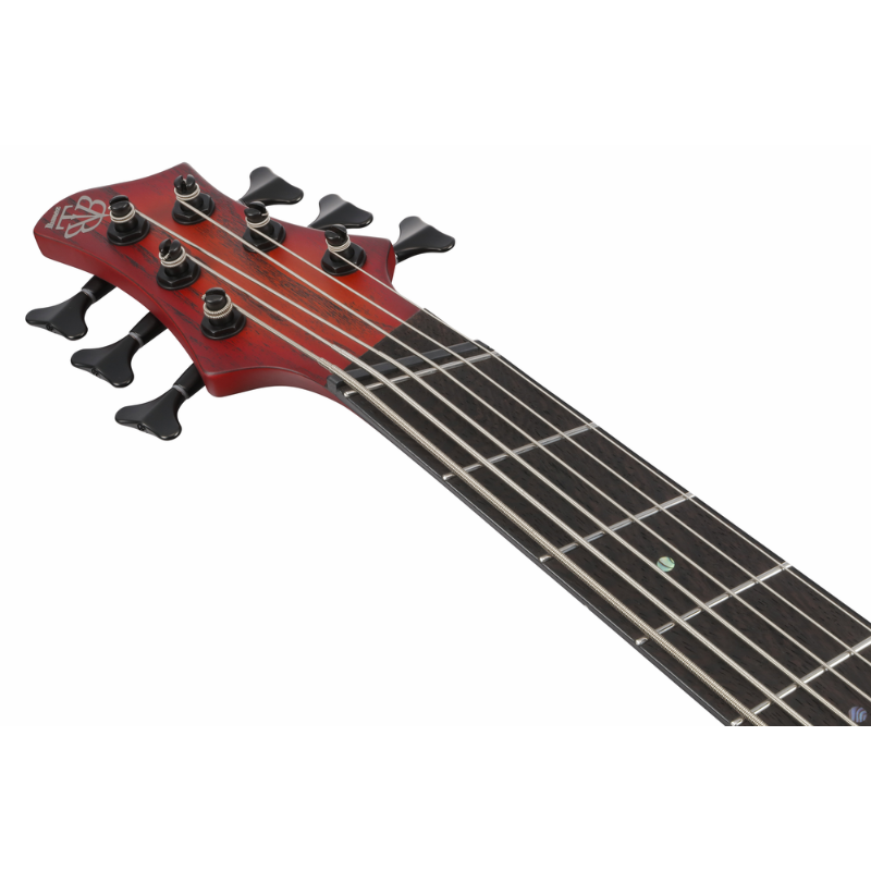 Ibanez BTB866MS BRF Electric Bass 6 String LTD — view 4