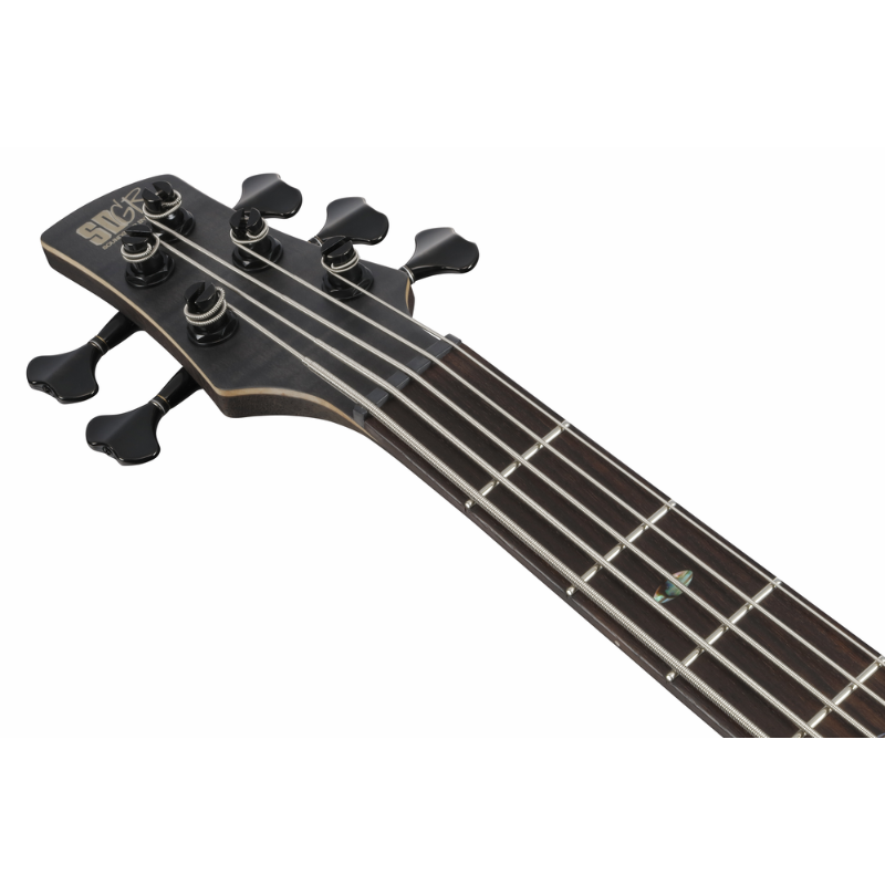 Ibanez SR1455DW TGF Premium 5-String Bass Limited Edition — view 4