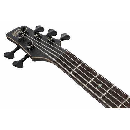 Ibanez SR1455DW TGF Premium 5-String Bass Limited Edition — view 4