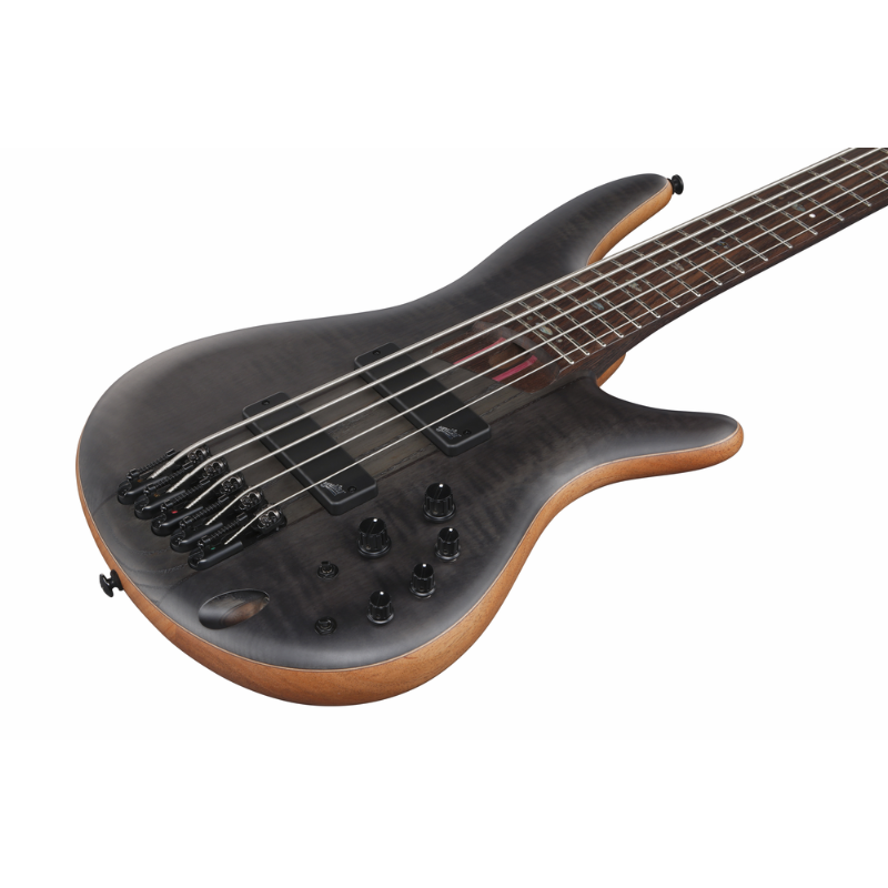 Ibanez SR1455DW TGF Premium 5-String Bass Limited Edition — view 3