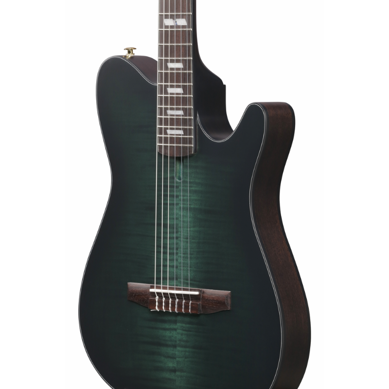 Ibanez FRH20FMN DGL Nylon String Electric Guitar — view 3