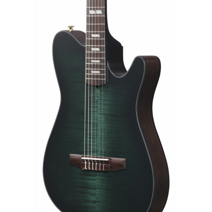 Ibanez FRH20FMN DGL Nylon String Electric Guitar — view 3