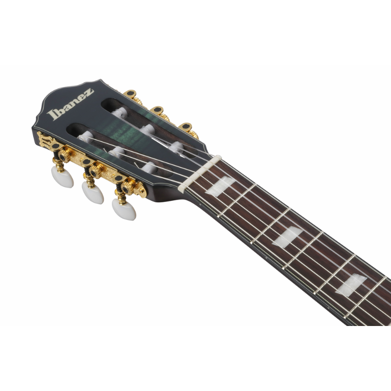 Ibanez FRH20FMN DGL Nylon String Electric Guitar — view 4