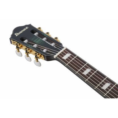 Ibanez FRH20FMN DGL Nylon String Electric Guitar — view 4