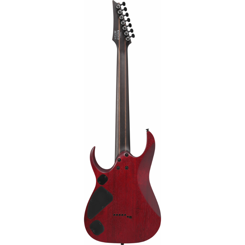 Ibanez RGD721FA WUF Electric Guitar — view 2