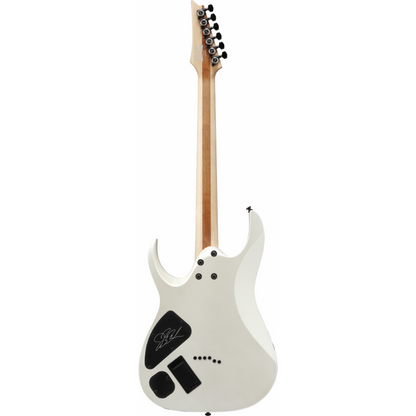 Ibanez JBBM40 PW JB Brubaker Signature Model Guitar — view 2