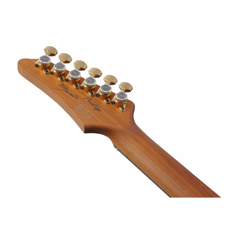 Ibanez Kiko 300 RRT Kiko Loureiro Signature Guitar — view 5