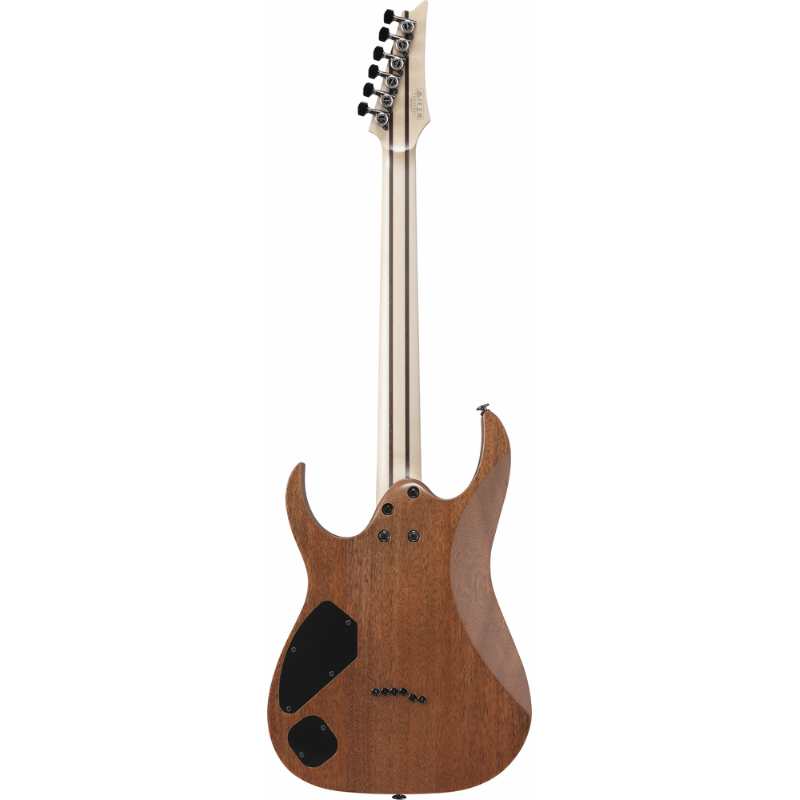 Ibanez RGR5221R TFR Prestige Electric Guitar with Case — view 2