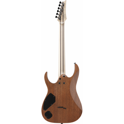 Ibanez RGR5221R TFR Prestige Electric Guitar with Case — view 2